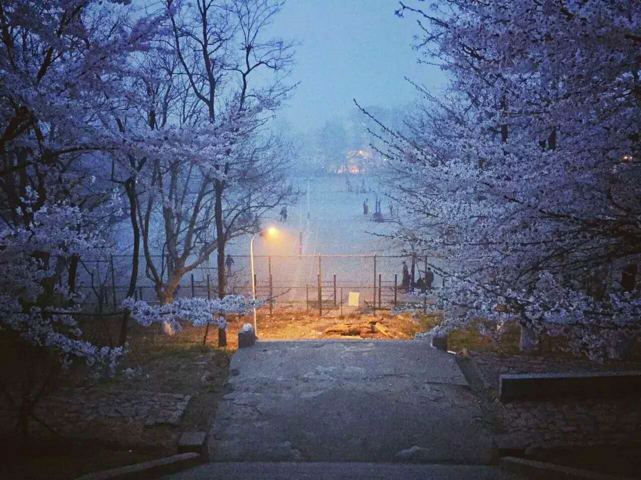 海洋大学里的美景