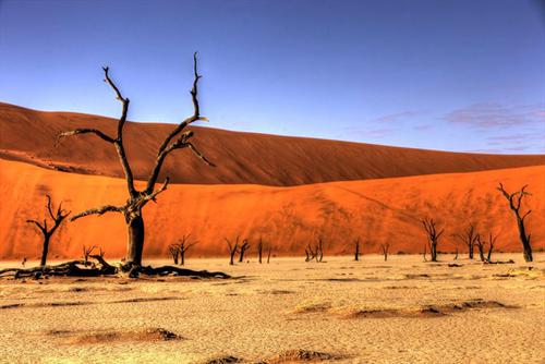 3. GC14W63 in Namib Desert, Namibia
