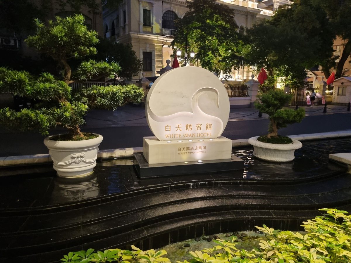 夜晚的白天鹅宾馆门前，白色鹅形标志立在黑色的水池与盆栽之间