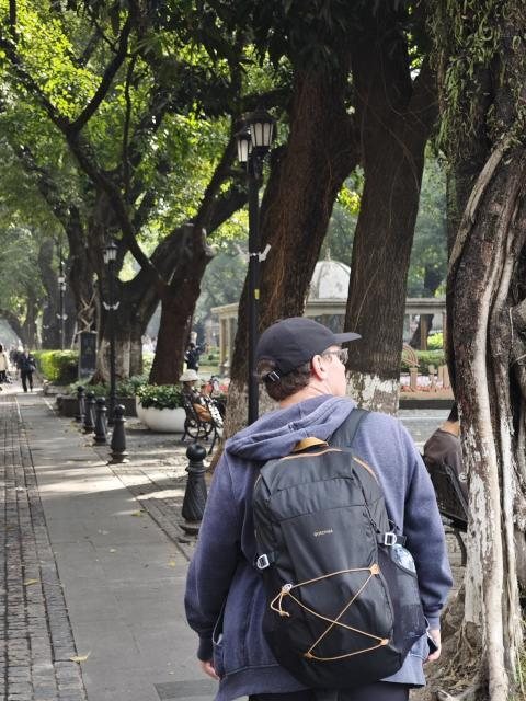 2026年，一位背着双肩包的游客走在沙面的林荫道上