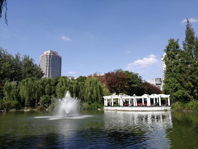 公园的景色