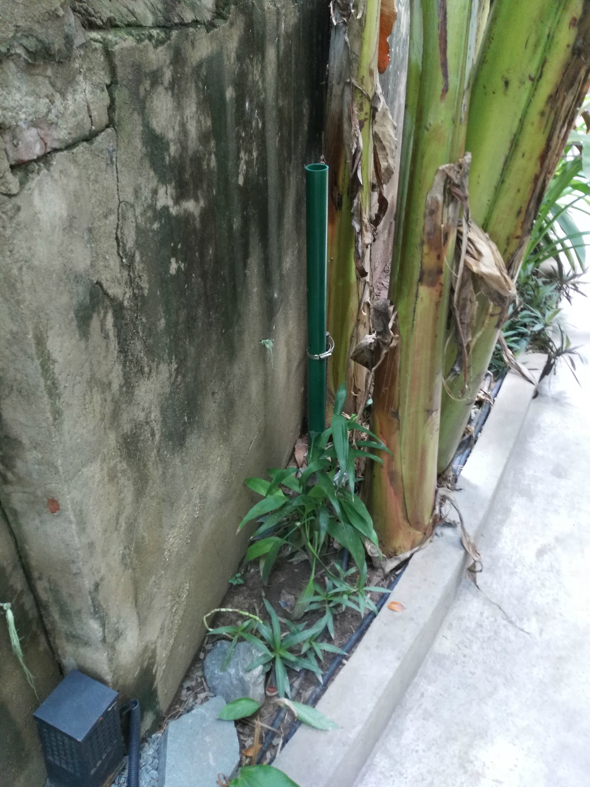 藏点就在这张照片里
