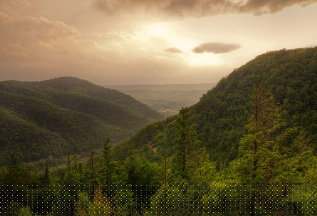 The view from the top. Photo by MrBee&WillowTree.