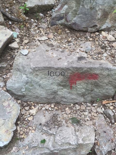 The thousandth step… but not the last one!